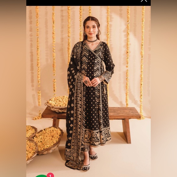 Indian/Pakistani Suit - Picture 1 of 10